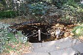 Small pond in Mejiro-no-Mori