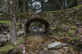 Pont du Vialais, Haut-Languedoc, Rosis cf01