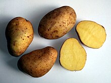 Potato tubers Potatoe var Princess.jpg