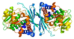 חלבון CRYM PDB 2i99.png