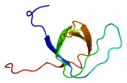 Protein EPS8L3 PDB 1wxt.png