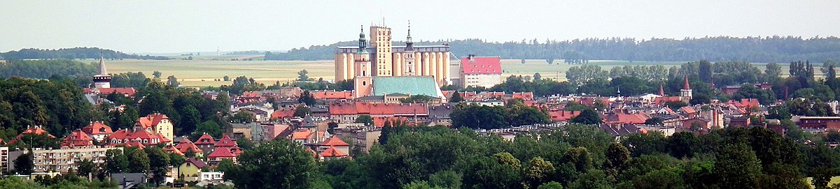 Widok na Prudnik z wieży widokowej na Koziej Górze