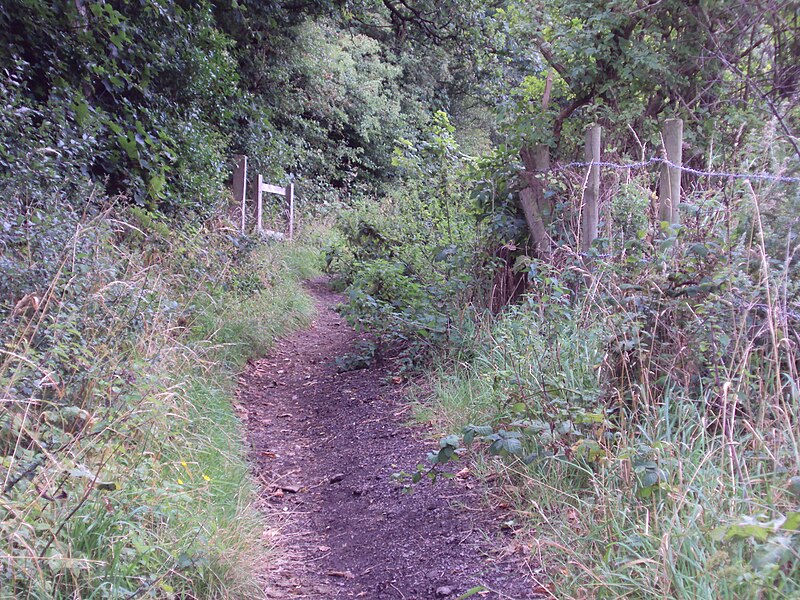 File:Public footpath, Frankby-Thurstaston 2.JPG