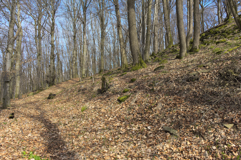 File:Rasdorf Kleinberg near Mountain Peak SW.png