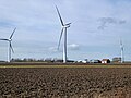 Миниатюра для Файл:Red House wind farm - geograph.org.uk - 5679665.jpg