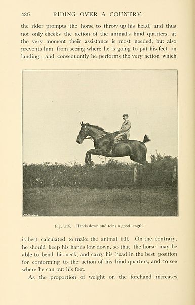 File:Riding and hunting (Page 286) BHL23572203.jpg
