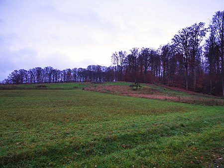 Riesenküppel (2)