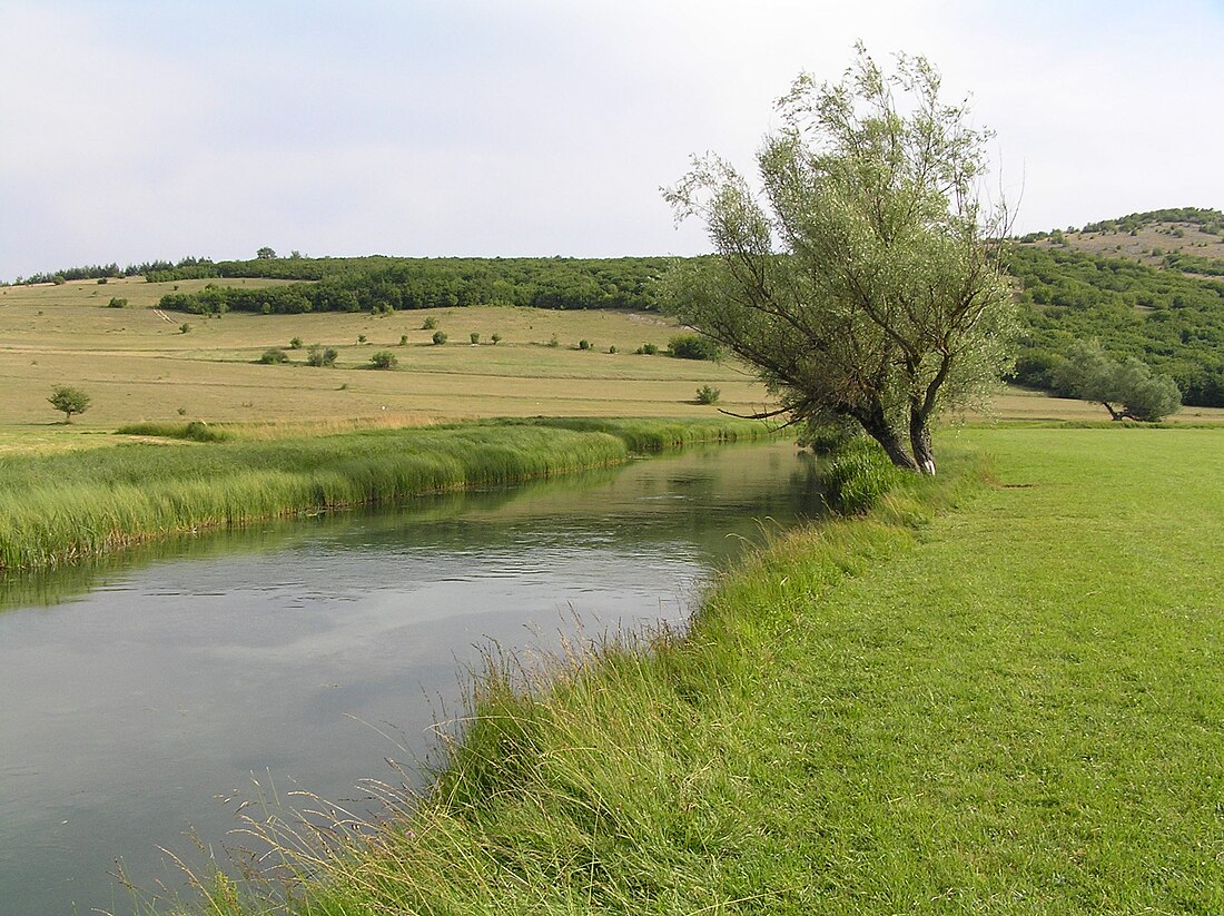 Bande enherbée