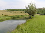 Vignette pour Mesures agroenvironnementales