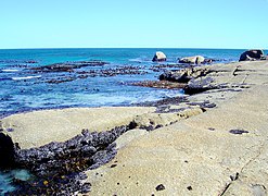 An alternative access area at Sunset Rocks, to the south of the gully, may be more convenient if the tide is low. Sunset Rocks reef is off to the left of the photo