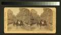 Room for one more, Williams Canyon, Colorado, U.S.A (NYPL b11707666-G90F058 004F).tiff