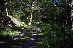 Rosenlundvejen som går igennem naturreservatet mod gården Rosenlund.