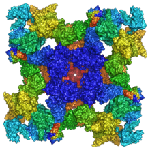 Ryanodine receptor - Wikipedia