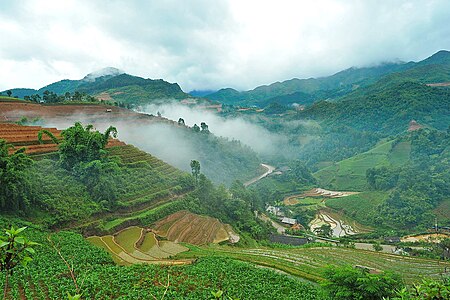 Tập_tin:SÁNG_SỚM_Ở_MÙ_CANG_CHẢI_-_panoramio.jpg