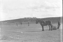 A horsedrawn lawn mower on an Australian golf course in the 1930s SLNSW 8483 The horsedrawn mower makes a vignette of a player putting.jpg