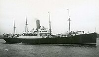 SS Ausonia (1).jpg