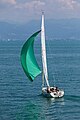 * Nomination Sailing yacht under spinaker on Lake Constance --MB-one 12:09, 14 May 2020 (UTC) * Withdrawn Really beautiful composition, colours etc., but I fear that the boat was either slightly out of focus or is unsharp due to motion blur – cannot find a point of the boat which is really sharp. No offence, sorry! --Aristeas 09:38, 21 May 2020 (UTC) No offence taken. Upon thorough inspection, ou are absolutely correct. --MB-one 11:56, 23 May 2020 (UTC)