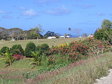 Sint Peter, Barbados 007.jpg