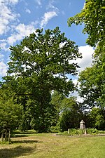 Stadtpark Glückstadt