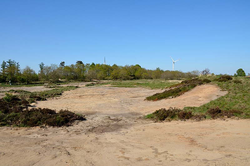 File:Schleswig-Holstein, Süderlügum, Naturschutzgebiet Süderlügumer Binnendünen NIK 2087.jpg