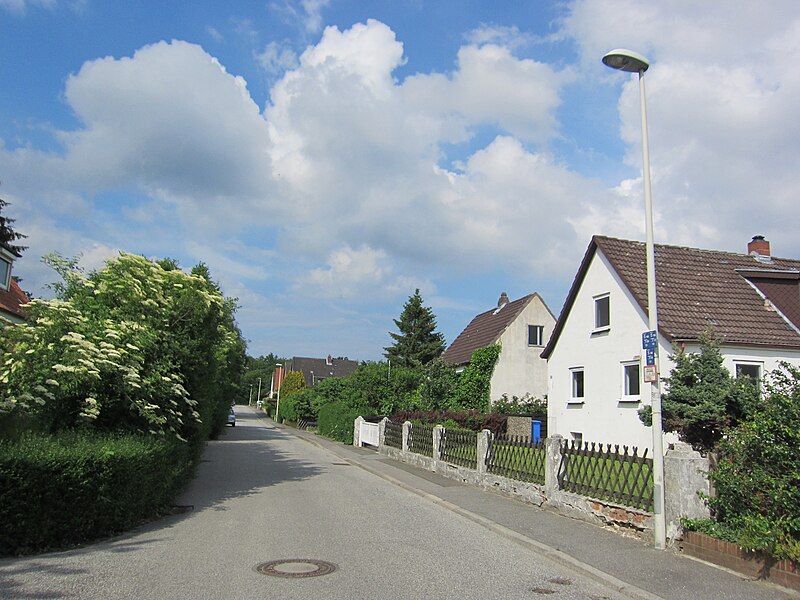 File:Schneiderkamp Kiel-Suchsdorf.jpg