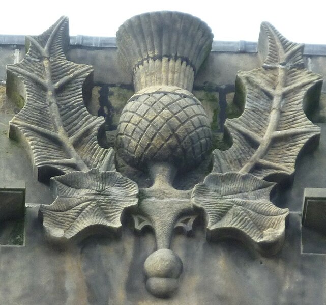 File:Sculpted thistle, Inverness High Street.JPG