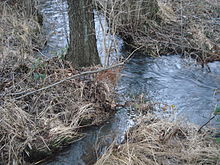 Der Sellbach (vorne links) mündet in die Bieber (von hinten links nach rechts)