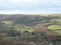 Selsley Common and Hill