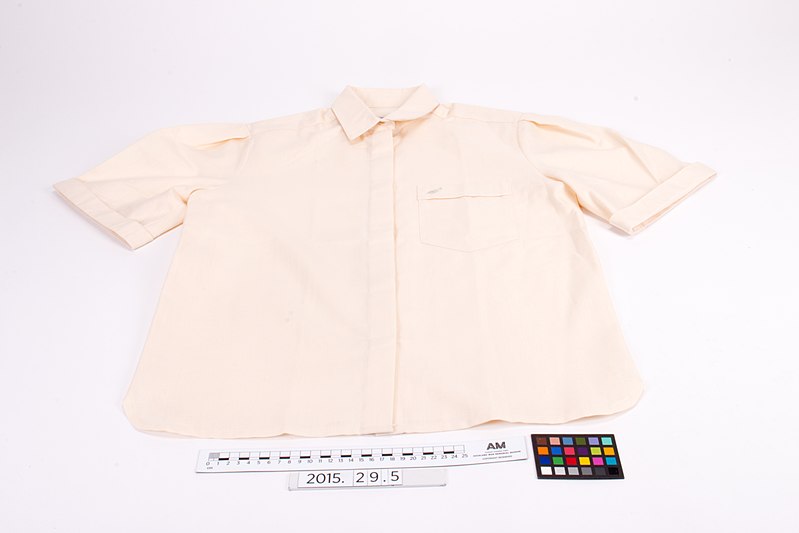 File:Shirt (AM 2015.29.5-4).jpg