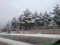 Snow fall in Quetta - panoramio.jpg