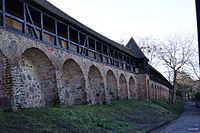 Zerbster Stadtmauer