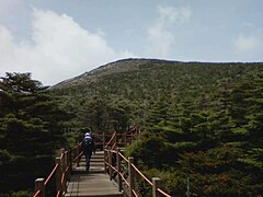 城坂岳登山路の板階段(2010年5月)