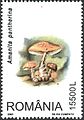 Romanian stamp (2003)
