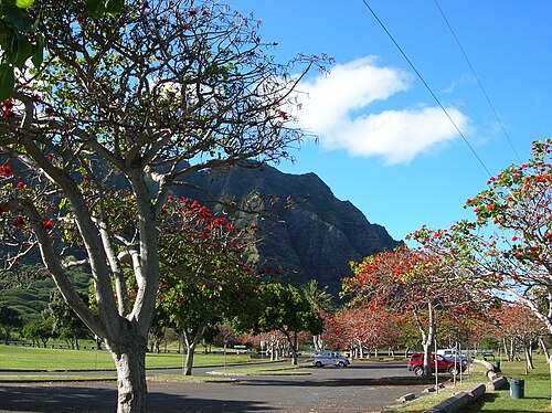 Kualoa Regional Park things to do in Maunawili Falls