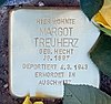 Stolperstein Bamberger Str 50 (Schön) Margot Treuherz.jpg