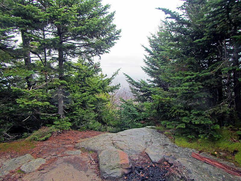 File:Summit of Cornell Mountain, Shandaken, NY.jpg