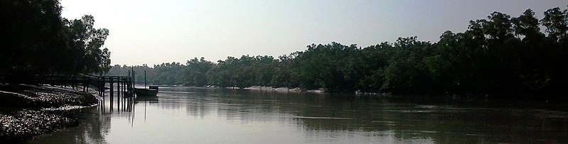 File:Sundarban (72).jpg