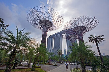 Supertrees in Gardens by the Bay
