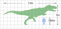 Тиранозавр: Опис, Класифікація, Чисельність