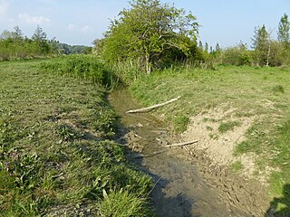 <span class="mw-page-title-main">The Brooks Local Nature Reserve</span> English park