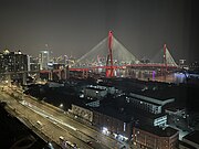 The Night View of Yangpu Bridge in Shanghai 2024