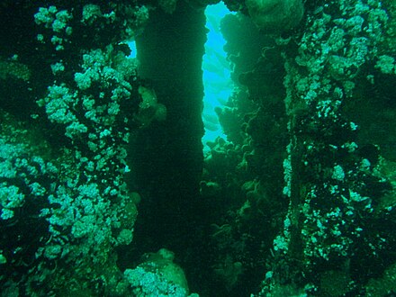 View through the main engine block of MV Daeyang Family wreck with piston rod visible