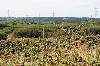 Tregoss Moor Tregoss Moor - geograph.org.uk - 222256.jpg