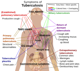 Tuberculose: Taalgebruik, Geschiedenis, Ziekteverwekkers