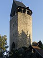 Tylenturm (Tylentower)