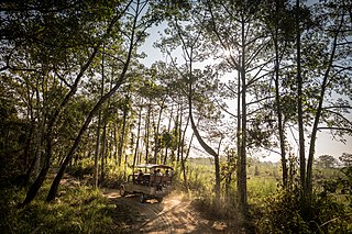 <span class="mw-page-title-main">Community forestry in Nepal</span>