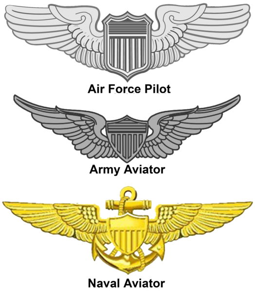 File:US - Aviation Wings.png