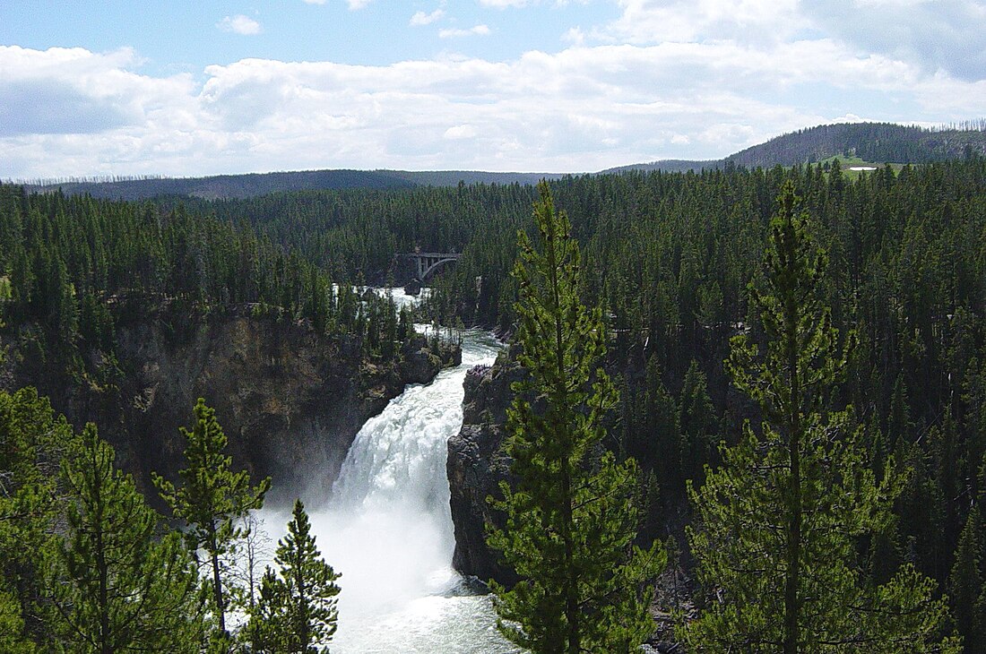 Yellowstone Falls