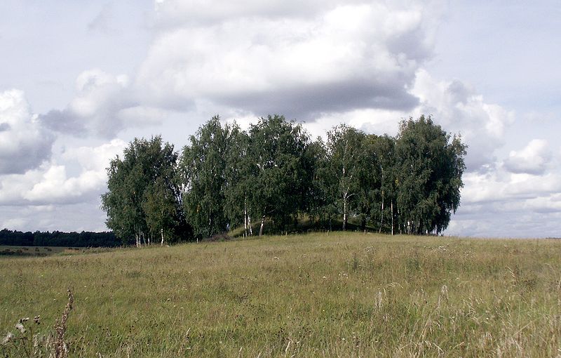 File:Uzbyterytai1.JPG