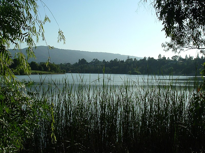 File:Vasona park.jpg